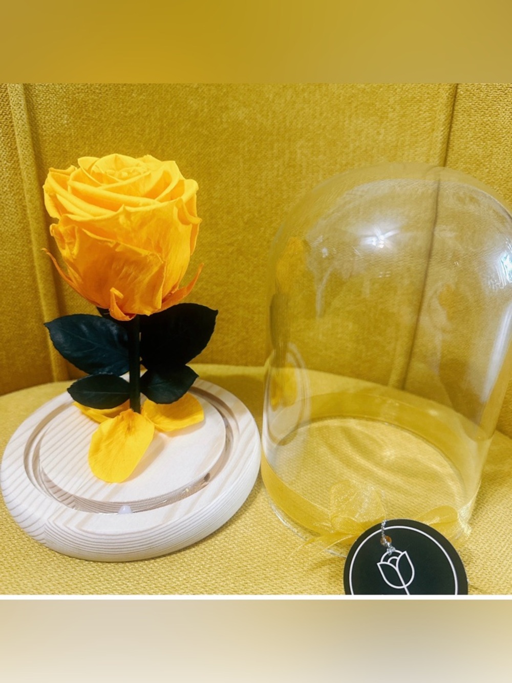 Yellow Preserved Rose Under Glass Dome - Picture 2 of 2